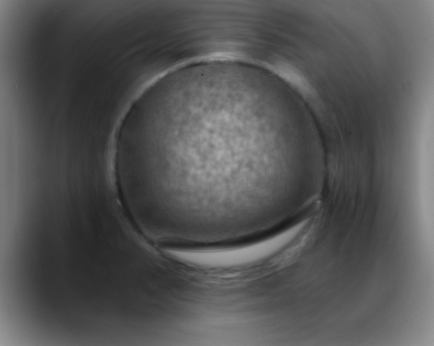 X0000088851374200706151709