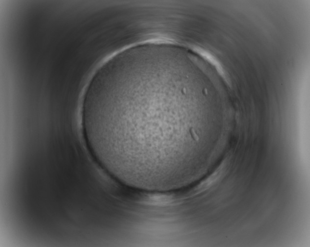 X0000088851375200706151709