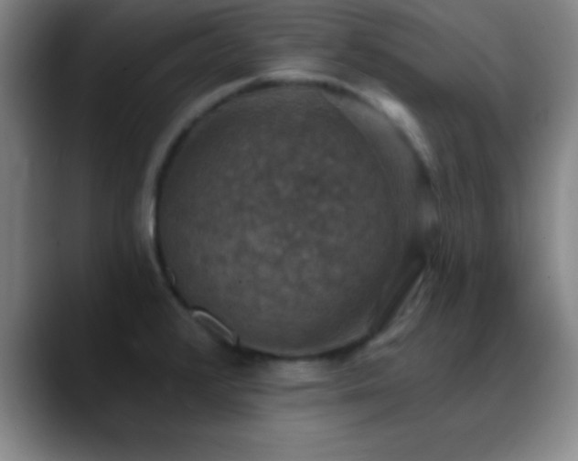 X0000088851376200706151709
