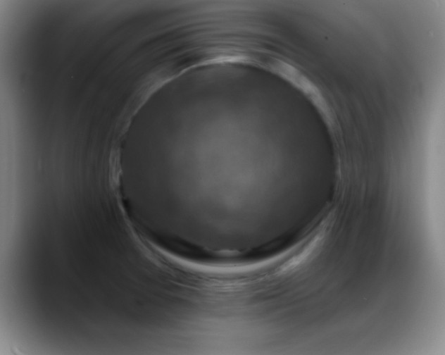 X0000088851377200706151709
