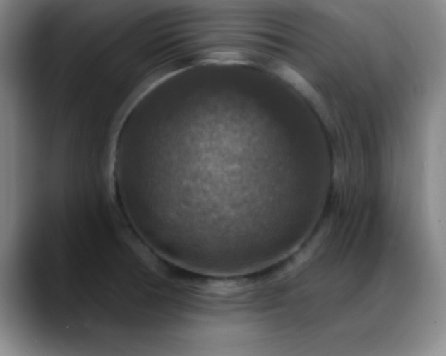 X0000088851378200706151709