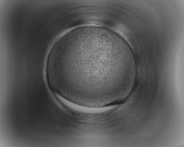 X0000088851379200706151709