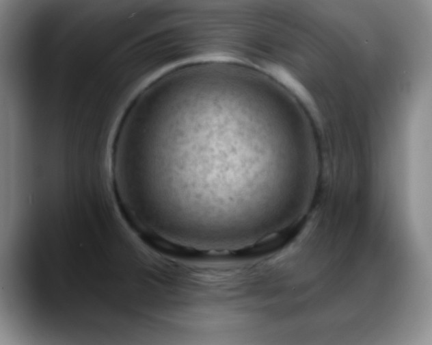 X0000088851380200706151709