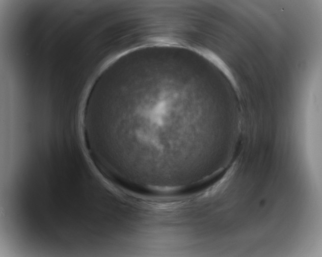 X0000088851381200706151709