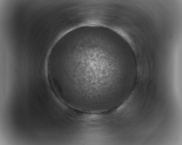 X0000088851382200706151709