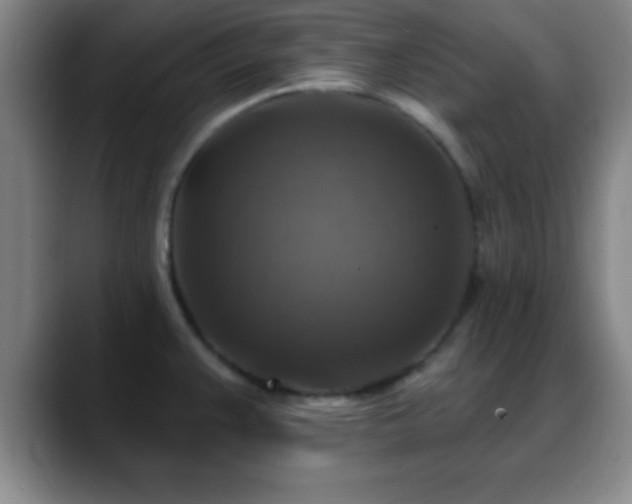 X0000088851383200706151709
