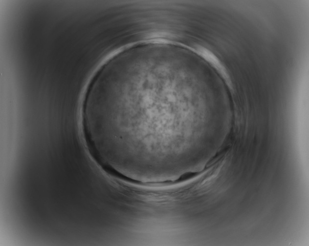 X0000088851384200706151709
