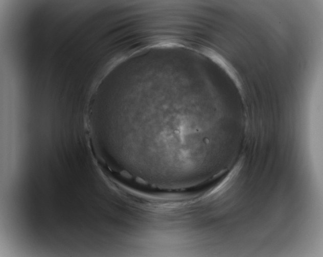 X0000088851385200706151709