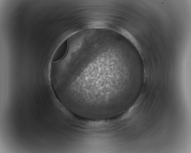 X0000088851386200706151709