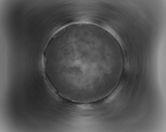 X0000088851388200706151709