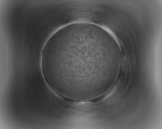 X0000088851390200706151709