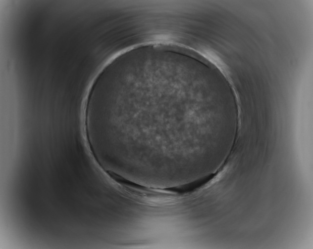 X0000088851392200706151709