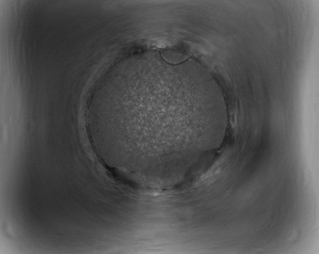 X0000088851393200706151708