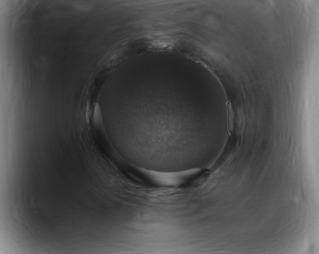 X0000088851394200706151708