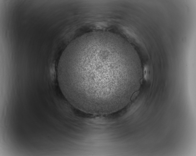 X0000088851395200706151709
