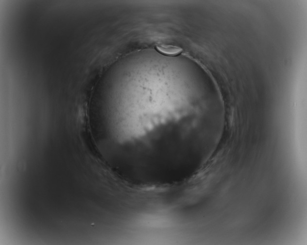 X0000088851397200706151709