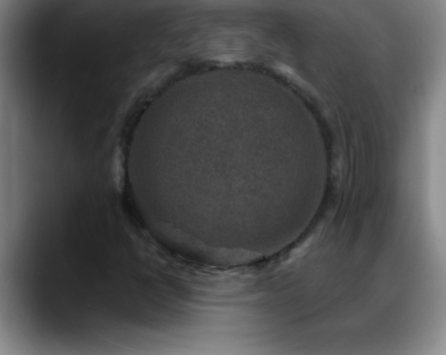 X0000088851398200706151709