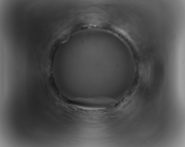 X0000088851399200706151709