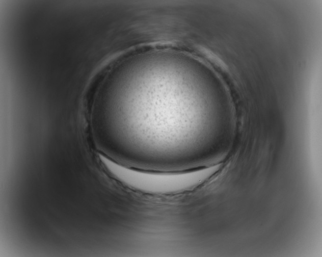 X0000088851400200706151709