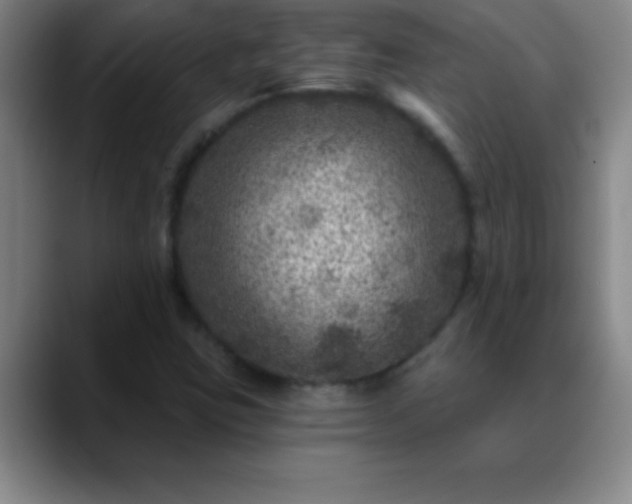 X0000088851403200706151709