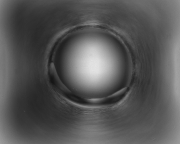 X0000088851406200706151709