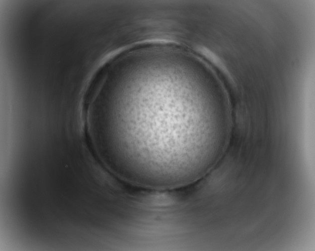 X0000088851408200706151709