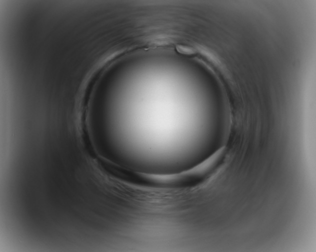 X0000088851410200706151709