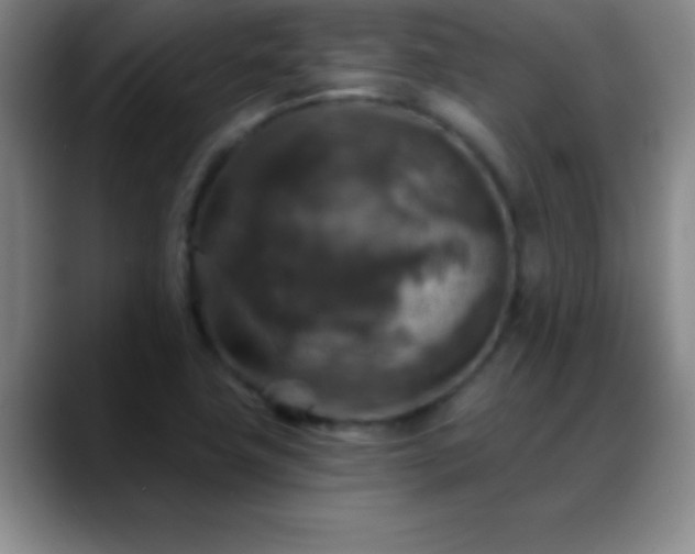 X0000088851411200706151709