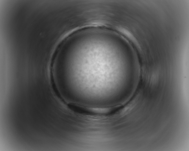 X0000088851412200706151709