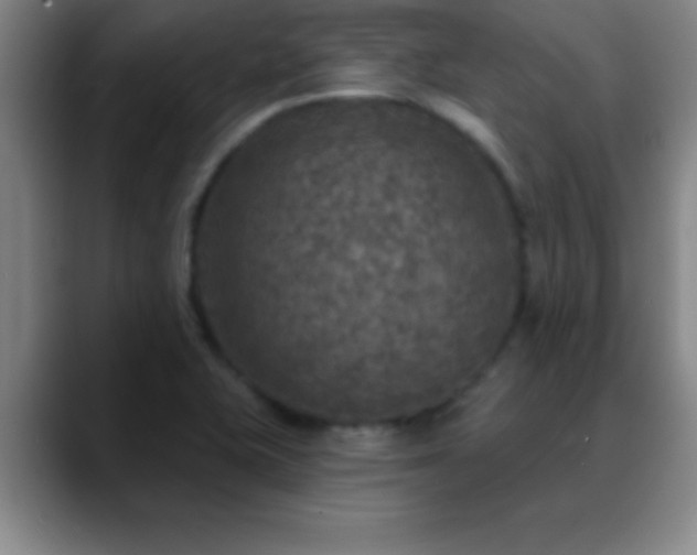 X0000088851415200706151709