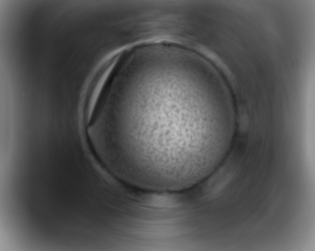 X0000088851416200706151709