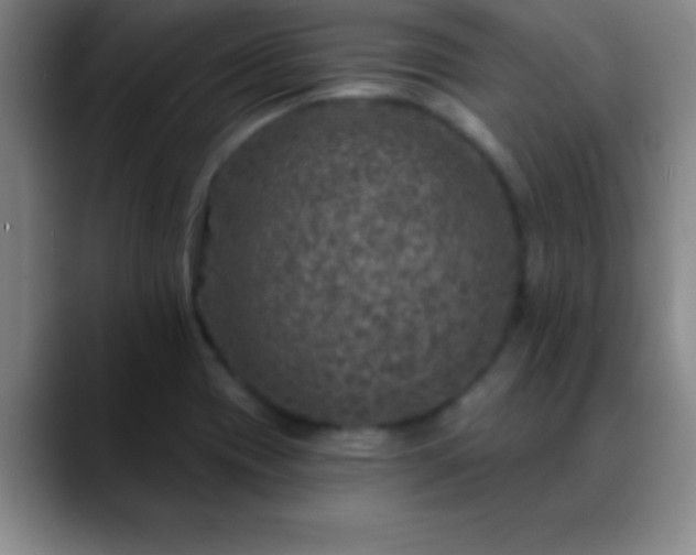 X0000088851417200706151709