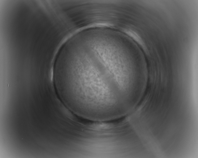 X0000088851420200706151709