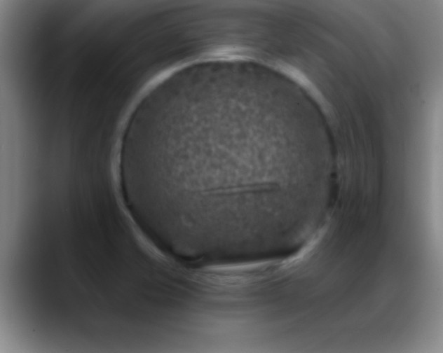X0000088851421200706151709