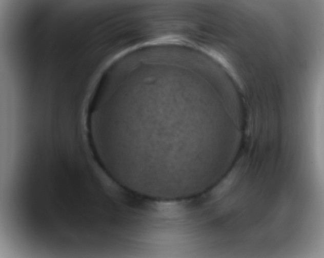 X0000088851422200706151709