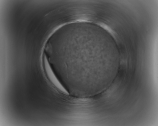 X0000088851423200706151709