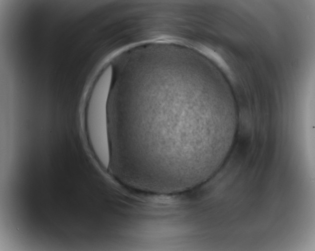 X0000088851424200706151709