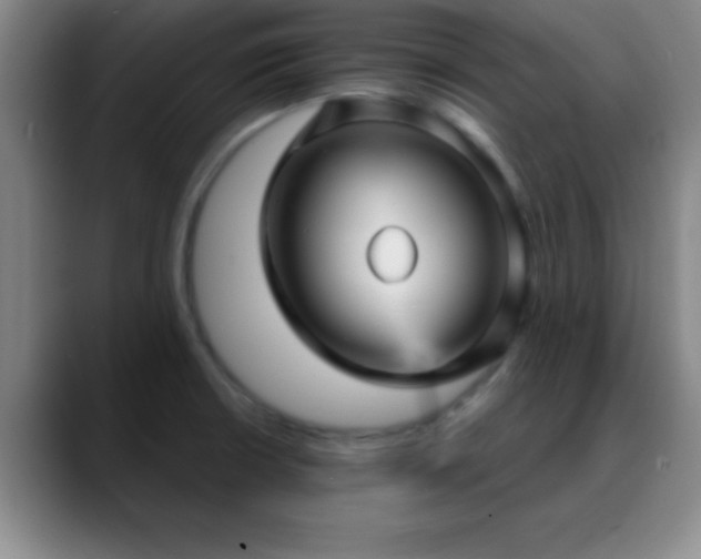 X0000088851426200706151709