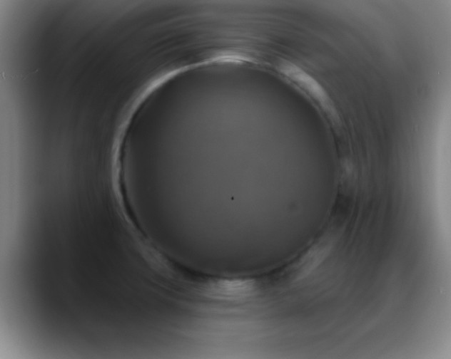 X0000088851427200706151709