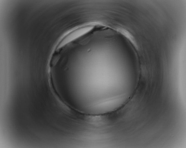 X0000088851428200706151709