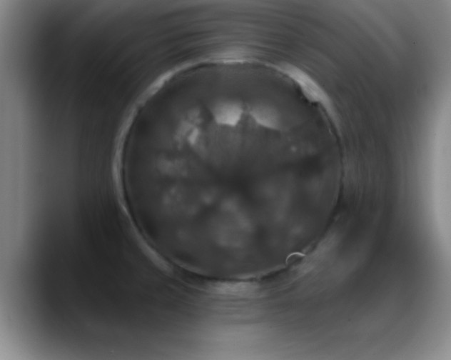 X0000088851429200706151709