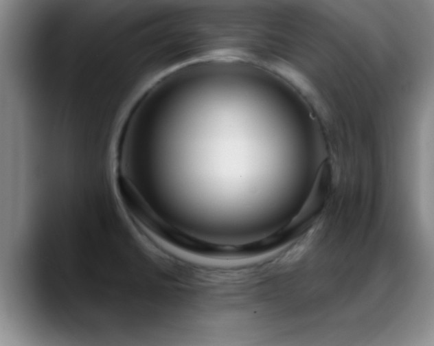 X0000088851430200706151709
