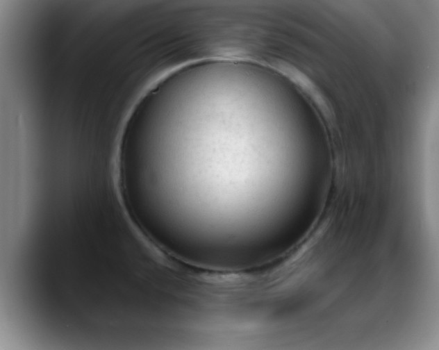 X0000088851432200706151709
