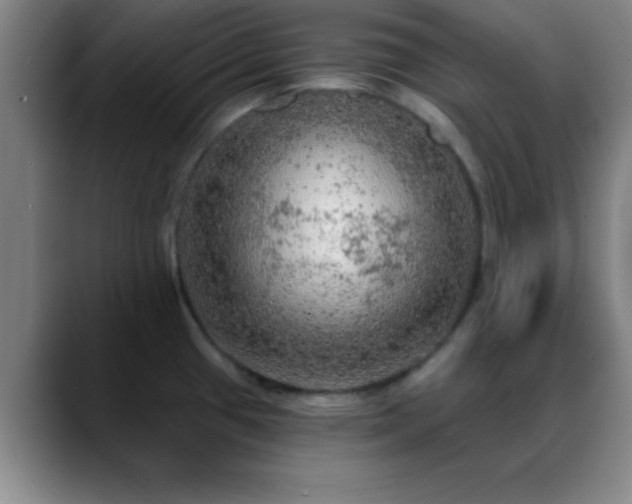 X0000088851433200706151709