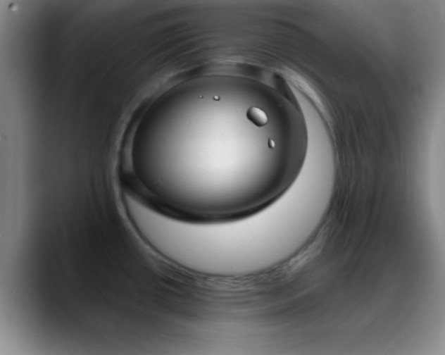 X0000088851434200706151709