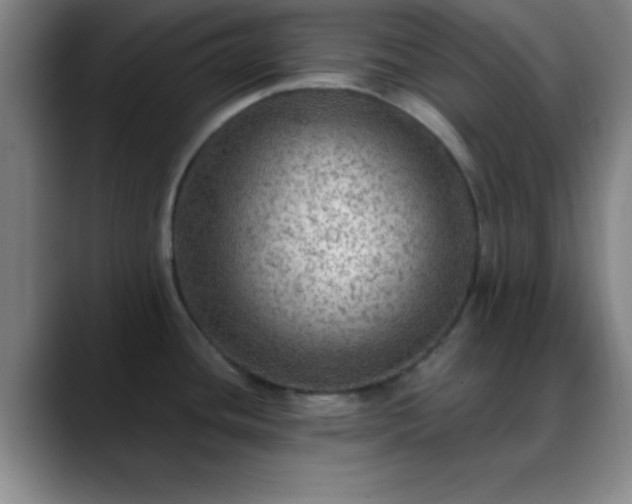 X0000088851436200706151709