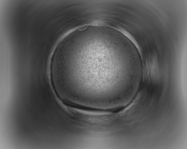 X0000088851437200706151709