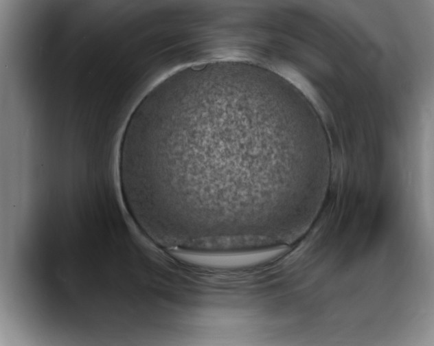 X0000088851439200706151709