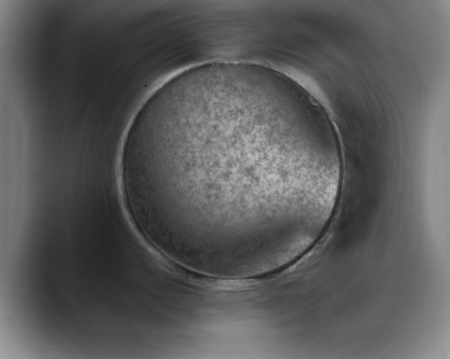 X0000088851440200706151709