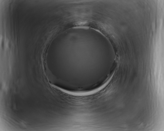 X0000088851441200706151708